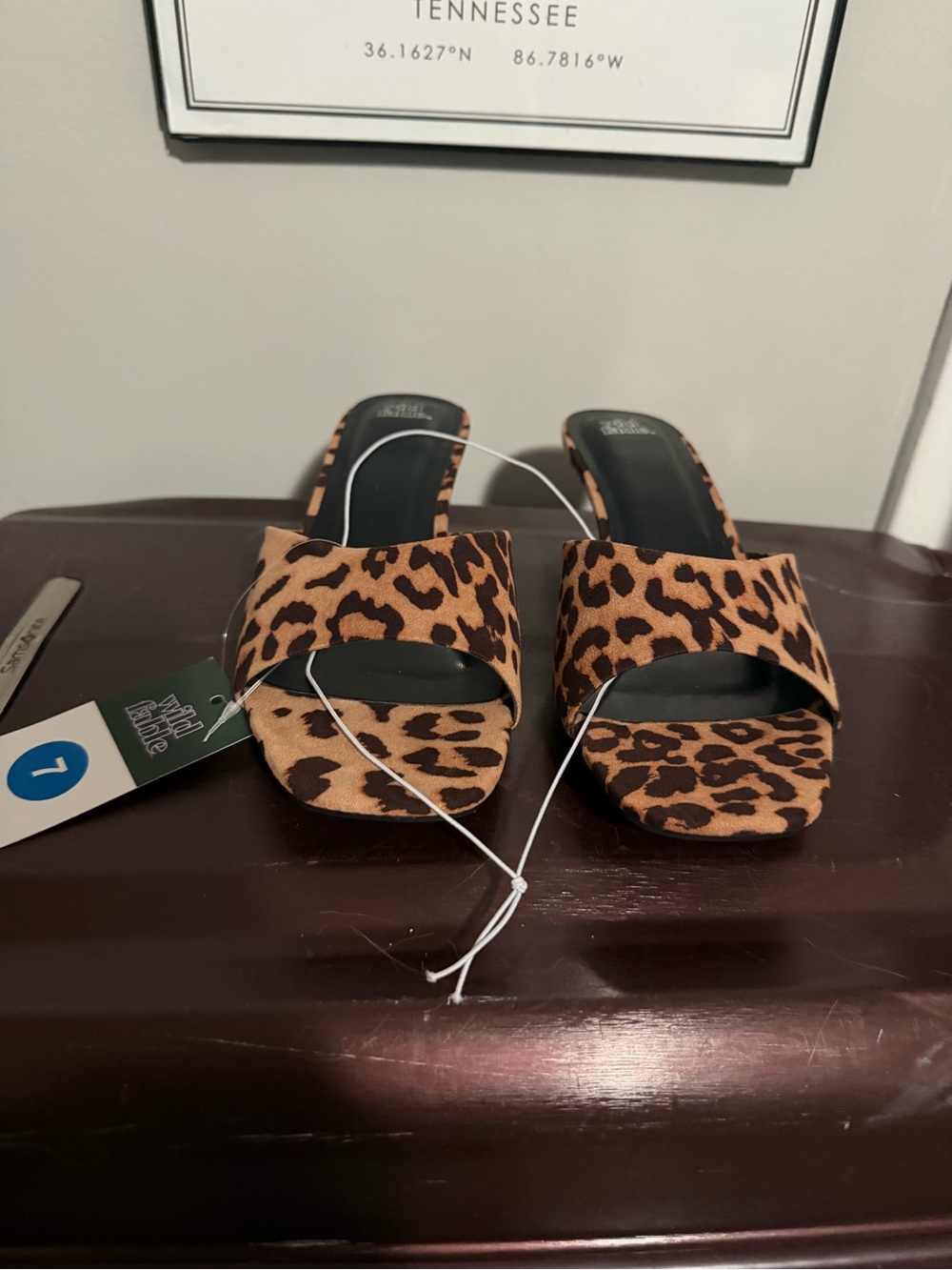 Target Leopard-Print Slide Heels in Brown and Black